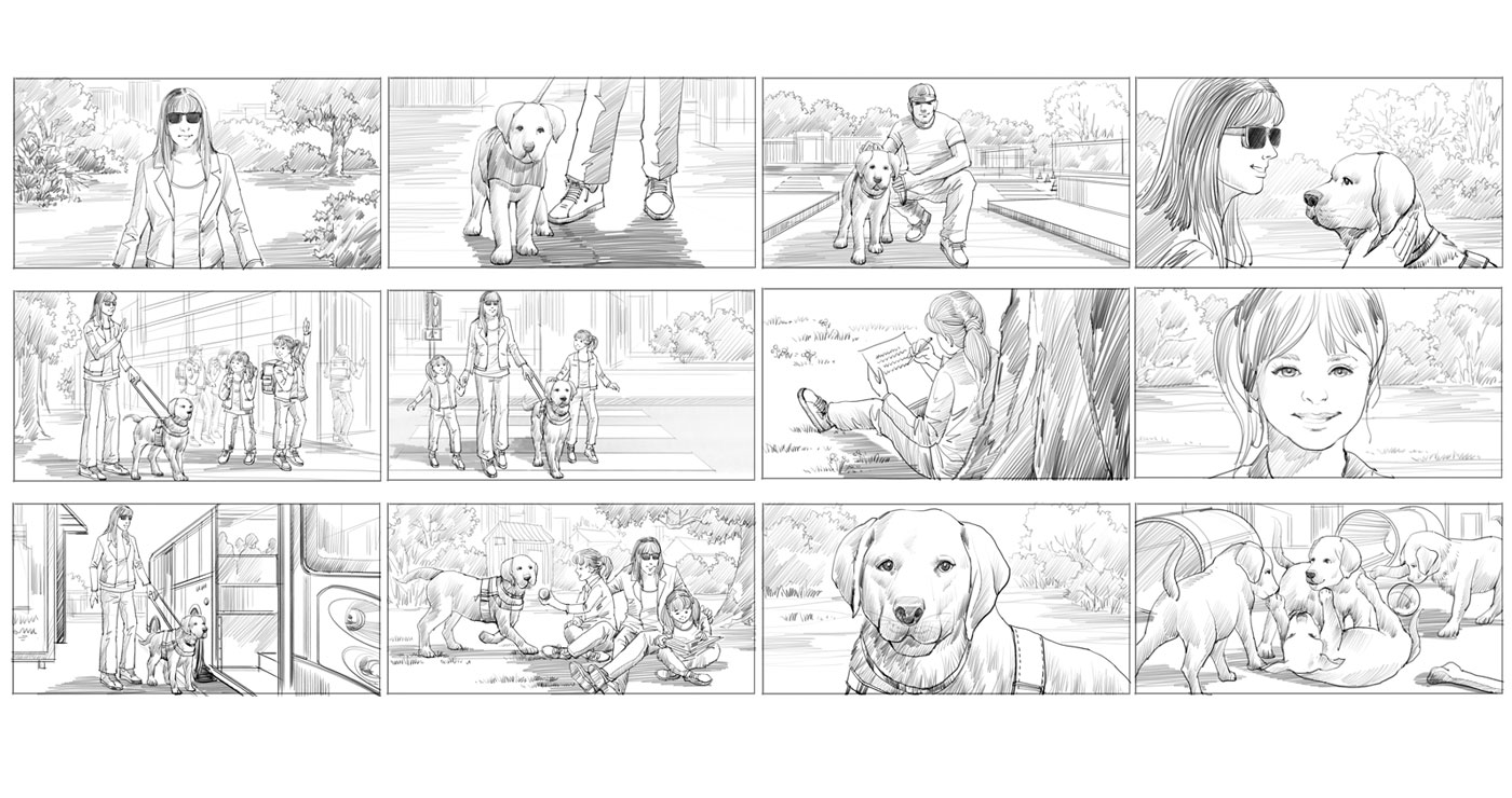 story board richard ngo chiens guides