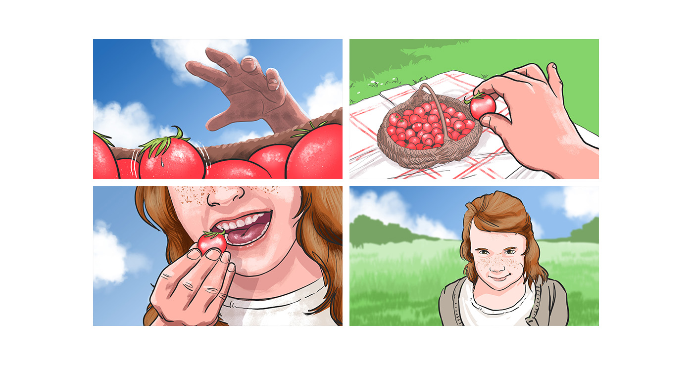Aurelien Boudault story illustration rough board animation paper art tomate pique nique