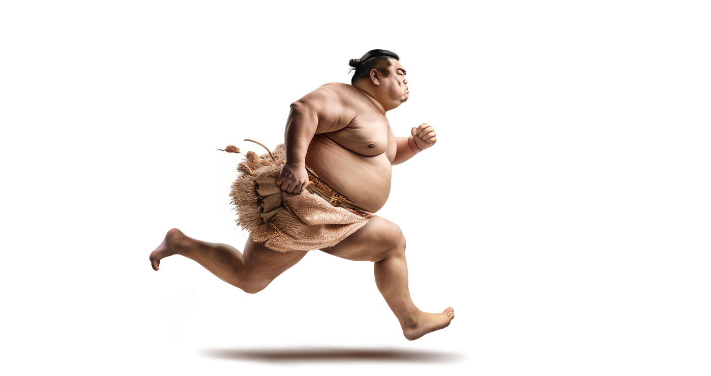 ai visualisation marcel laverdet sport sumo 05