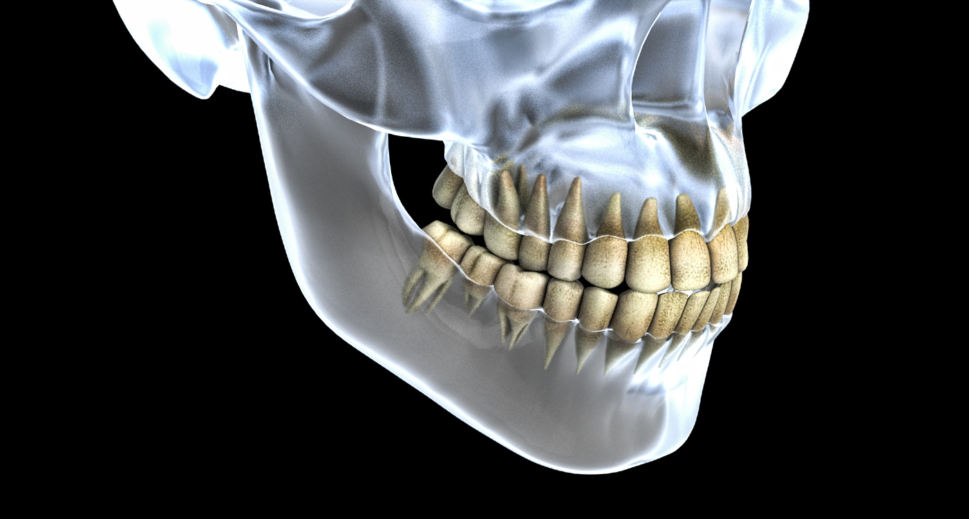 raimbault-philippe-illustration-3d-médical-dents